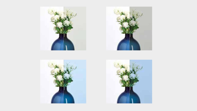 Vetri a controllo solare Quattro diversi tipi di vetri schermanti, con immagini di un vetro davanti ad un mazzo di fiori e divise a metà, con brevi box esplicativi, che esemplifica la tonalità e trasparenza del vetro al crescere delle opzioni di protezione da luce e calore