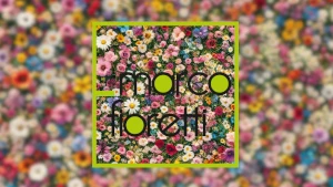 Prato letteralmente pieno di fiori di tutti i tipi, però sfocato. Solo la parte centrale, riquadrata dal logo di Marco Fioretti con la maniglia, è a fuoco e si distinguono bene i fiori. Il sito di Marco Fioretti mette bene a fuoco gli elementi essenziali per le tue porte e i tuoi serramenti