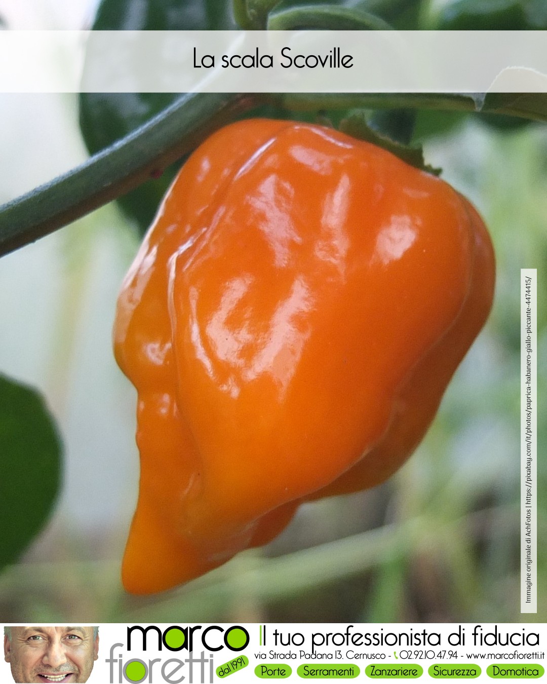 Peperoncino di tipo Habanero